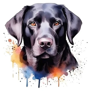 Autoaufkleber Sticker Labrador Aufkleber 9X9 cm - Picture 1 of 10