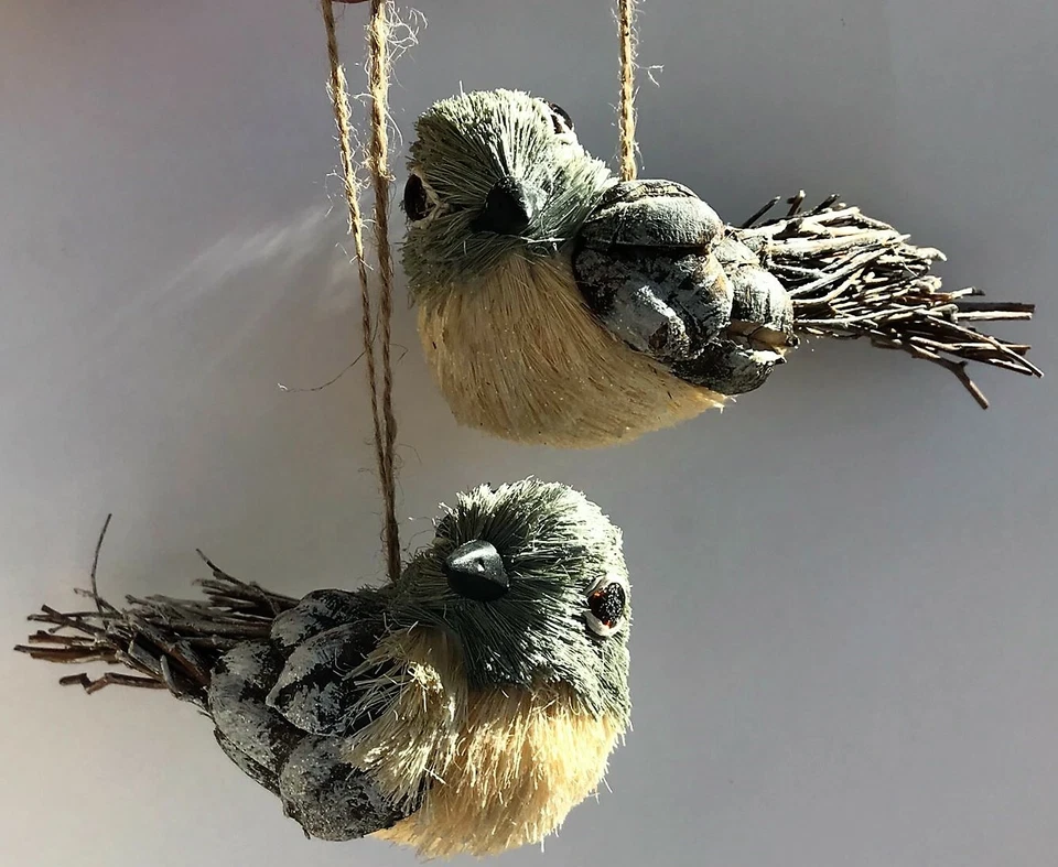 Creative Co-Op XC0947A Rustic Bird 6 英寸装饰品带木枝羽毛 2 件套 — 第 1/1 张图片