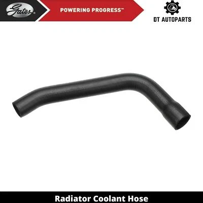 Manguera de refrigerante de radiador ejecutivo Pontiac 1969-1970 puertas inferiores Foto 1 de 4