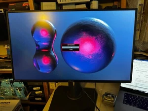 ASUS ROG Swift 27'' PG279Q Gaming Monitor w/Republic of Gamers heavy duty stand - Picture 1 of 13