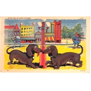 1945 Comical Postcard Dachshunds Dogs After You My Dear Alphones Posted Stamp - Picture 1 of 2
