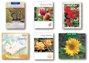 Variety Pack of 6 Different Occasion Cards With Bible Text - EBMX1 - Picture 1 of 7