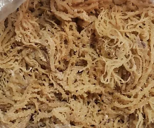 Irish Moss Sea Moss 2 lb Caribbean products - 32 Oz ๐ฅ๐ฅ - Picture 1 of 6