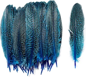 HAPPY FEATHER 6-9 Inch Natural Guinea Wing Plumage Feather for DIY Craft, Jewelr - Picture 1 of 12