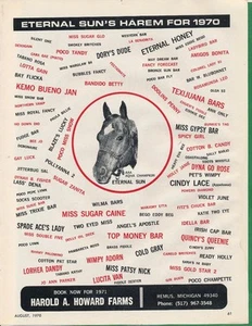 Zeitschriftenanzeige - 1970 - Howard Horse Farms - Remus, MI - EWIGE SONNE - Bild 1 von 1