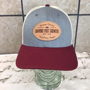 Richardson Diamond Fruit Growers Hood River Oregon Ball Cap Hat SnapBack - Picture 1 of 6