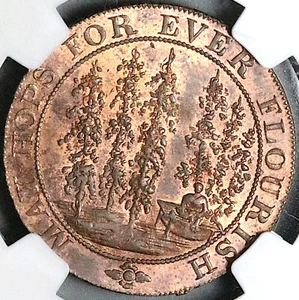 1794 NGC MS 63 Hops Lamberhurst Kent Conder 1/2 Penny DH 34 POP 1/1 (23060204C) - Bild 1 von 6