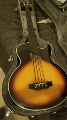 Washburn AB-20 Fretless Acoustic Bass W/ HSC - Image 1 of 4