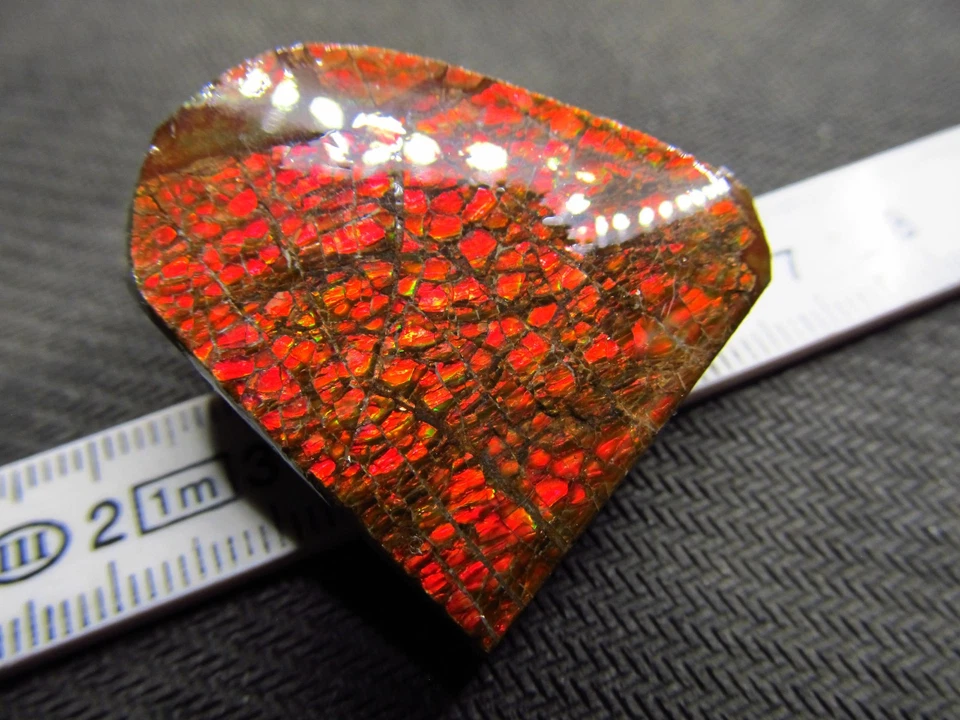 Ammolit Drachenschuppe, Kanada, Maße ca. 32 x 30 x 10 mm, Gewicht 102 Karat! - Bild 1 von 4