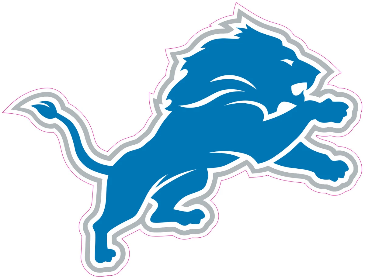 Detroit Lions HTV Heat Transfer Vinyl For T-Shirts - Iron On Material (NOT Sew-On Patches)