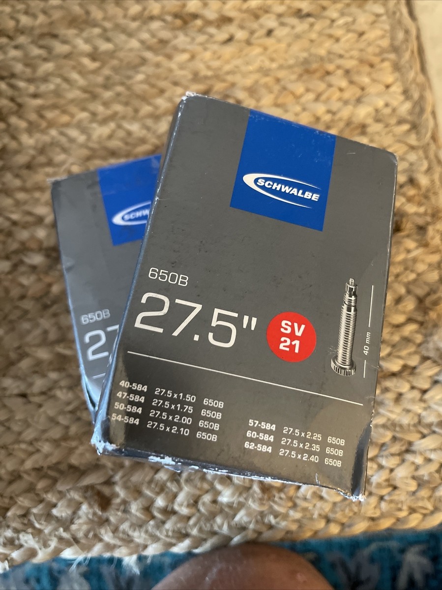 Schwalbe SV21 Bicycle Tube – 29 X 1.00, ETRTO 54/75-622, High Quality Cashmere Tube