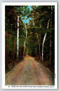 Postcard Scene on Lake Shore Drive, Harbor Springs, MI, Birch Trees, Dirt Road - Picture 1 of 2