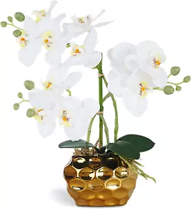 Artificial Orchid Flowers & Plants Potted in Ceramic Pot, White Faux Phalaenopsi - Picture 1 of 12