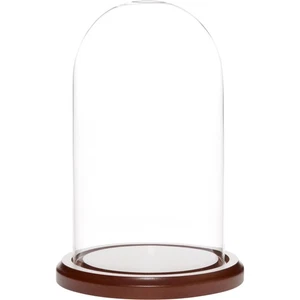 Cúpula de exhibición de vidrio Plymor de 4,5 pulgadas x 8 pulgadas (base de madera oscura) - Imagen 1 de 4