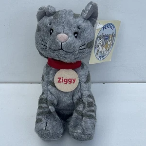 Vintage Ziggy Cat Perfect Pets Golden Bear 2002 RSPCA Soft Toy Plush Beanie - Picture 1 of 10