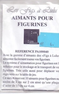  REF PA 10040 1 BEUTEL MIT 10 MAGNETEN 2 CM/2 CM PLUS STAHLPLATTE - Bild 1 von 1