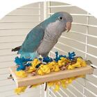 Parrot Toy Play Equipment Novelty Practical Climbing Toy Bird Perch Stand