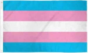 Bandera Transgénero 2x3 pies Poli LGBTQ Transgénero Arco Iris Orgullo Bandera - Imagen 1 de 2