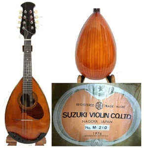 Japan Suzuki M-210 1974 Solid Spruce top Solid Maple Bowl back Mandolin OJMN425 - Picture 1 of 12