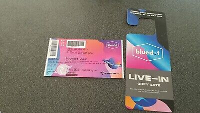 BLUE DOT Festival 2022 (Jodrell Bank) - CAMPERVAN / Live-In Vehicle Ticket X 1  • 80£