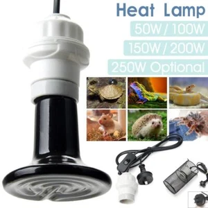 75-250W Ceramic Infrared Light Heat Emitter Lamp Reptile Brooder Incubator Bulb - Picture 1 of 27