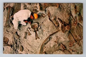 UT-Utah, Dinosaur National Monument, Antique, Vintage Souvenir Postcard - Picture 1 of 2