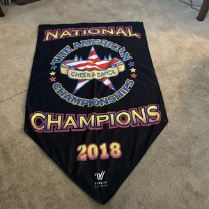 BANNER CAMPIONATO NAZIONALE AMERICAN CHEER & DANCE 2018 - Foto 1 di 2