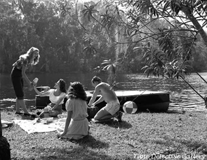 Picnicking on the River, Homosassa Springs, Florida - 1947 - Vintage Photo Print - Picture 1 of 1