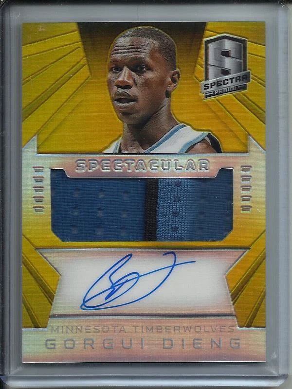 Gorgui Dieng 14/15 Panini Spectra Gold Autograph Game Used Jersey Patch #6/10 - Image 1 of 1