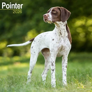 Pointer 2026 Calendar | Dog Breed Gift Wall 15% OFF MULTI ORDERS - Picture 1 of 8