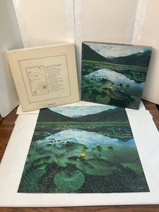 COMPLETE Springbok 500 Piece Puzzle *Mirror Lake* Pond Lilly Pad Flower Mountain - Picture 1 of 13