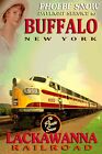 Buffalo New York  Lackawanna Railroad  Phoebe Snow  Train Poster Art Print  060