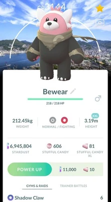 🍀POKEMON GO - Bewear - XXL (Wilderness Cape + Nagasaki BG) 🍀 - Image 1 of 2
