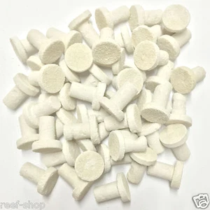 50 Cured Frag Plugs for Live Coral Propagation Coral Frag Plugs Live Coral Frags - Picture 1 of 3