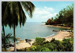 Batu Ferringhi Strand Kokospalmen Penang Insel Malaysia Chrom Postkarte - Bild 1 von 2