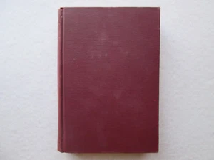 THE STRANGER ON THE ISLAND by Brand Whitlock 1933 HC Rare Book D. APPLETON & CO. - Picture 1 of 8