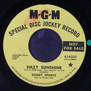 RANDY SPARKS: hazy sunshine MGM 7" Single 45 RPM - Picture 1 of 2