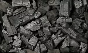 Carbone di Legno Naturale per BBQ, Tandoor e Uso Cucina - Qualità Premium - Foto 1 di 2
