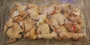 12 Ty Beanie Babies Sealed In Manufacturer Factory Sealed Bag "Tooter" Dinosaur - Picture 1 of 4