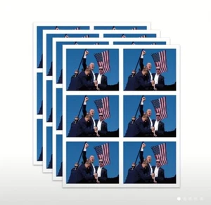 2”Inch Donald Trump American Flag FIGHT! Vance President Vinyl Sticker LOT of x6 - Picture 1 of 5