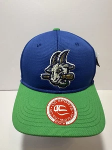 OC Sports Youth Minor League Baseball Raised Hat Hartford Yard Goats Strapback - Picture 1 of 6