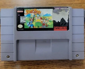Power Piggs Of The Dark Age (Super Nintendo SNES) Selten! Getestet - Bild 1 von 3