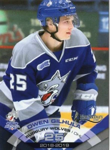 2018/19 Sudbury Wolves - OWEN GILHULA - Picture 1 of 1