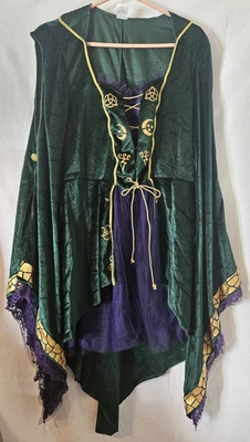 Hocus Pocus Spirit Winnie Sanderson Adult Size X-Large 14-16 - Image 1 of 4