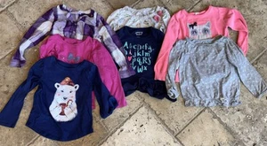 Lot of Girls’ Long Sleeve Shirts Clothes T-shirts Tops Size 4T Pre Owned - Picture 1 of 8