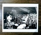 1970 The Who "Weight Festival" TYPE 1 Original Photo by Van Houten