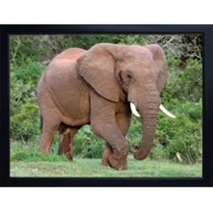 ELEFANT 3D KÜHLSCHRANKMAGNET toller Weihnachtsstrumpffüller - Bild 1 von 1