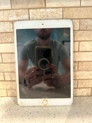 Apple iPad Mini 第 1 代 32GB WIFI MD532L/A — 第 1/3 张图片