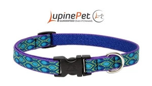 Lupine Originals RAIN SONG Dog Collar 9"-14" 3/4"w Manufacturer Guarantee S M - Picture 1 of 2