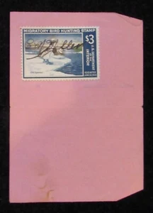 RW34 - 1967 Federal Duck Stamp on Washington Hunting License - Picture 1 of 2
